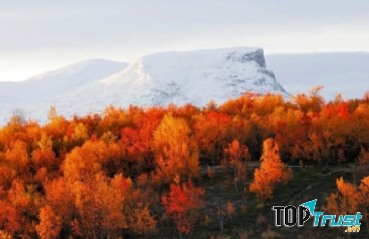 Vườn quốc gia Abisko