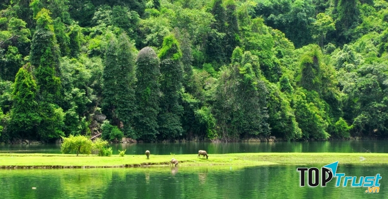 Vườn quốc gia Ba Bể (Bắc Cạn)