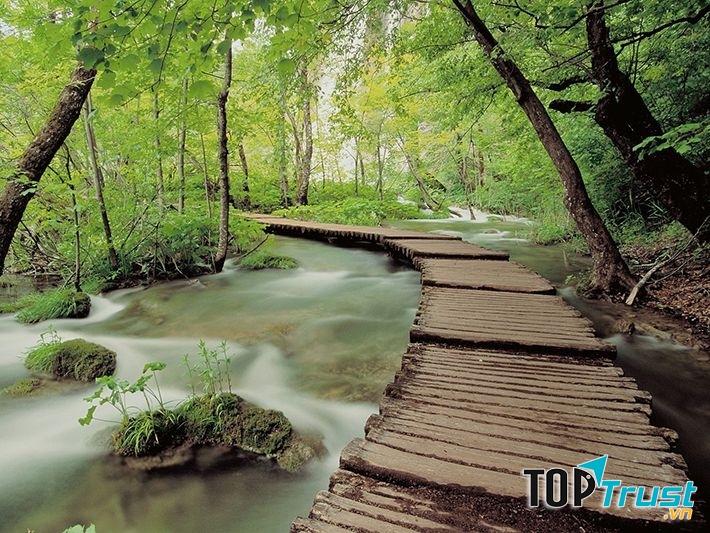 Vườn quốc gia Ba Vì