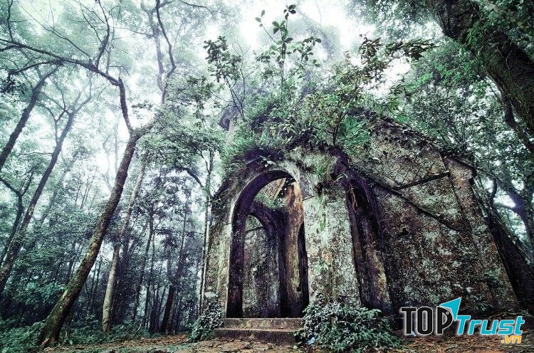 Vườn quốc gia Ba Vì