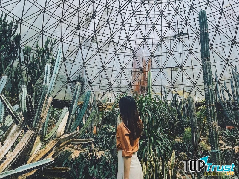 Vườn Quốc gia Ba Vì