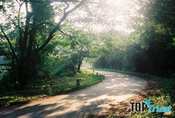 Một đoạn đường xanh mát trong vườn quốc gia Ba Vì