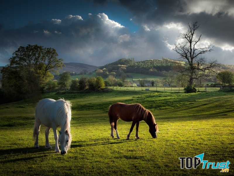 Vườn Quốc Gia Brecon Beacons.