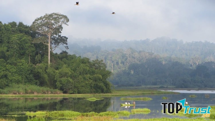 Vườn quốc gia Cát Tiên (Đồng Nai)