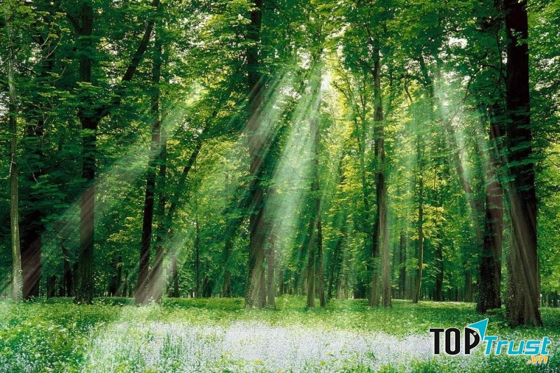 Vườn quốc gia Cúc Phương