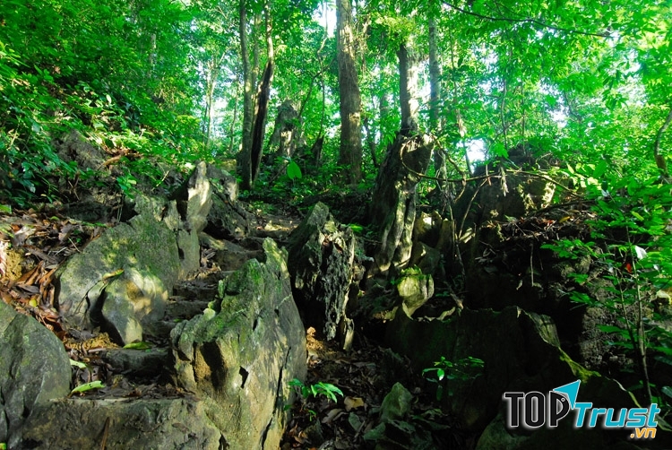 Vườn quốc gia Cúc Phương (Ninh Bình)