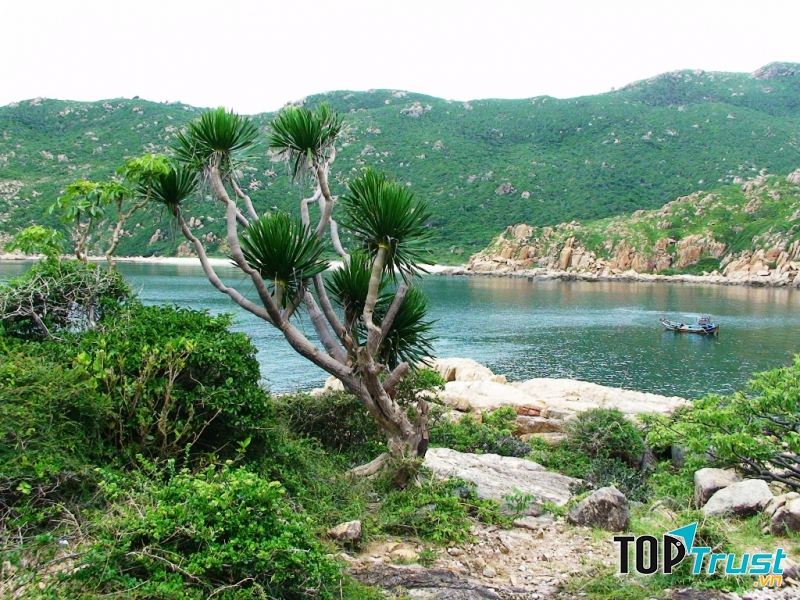 Vườn quốc gia Núi Chúa (Ninh Thuận)