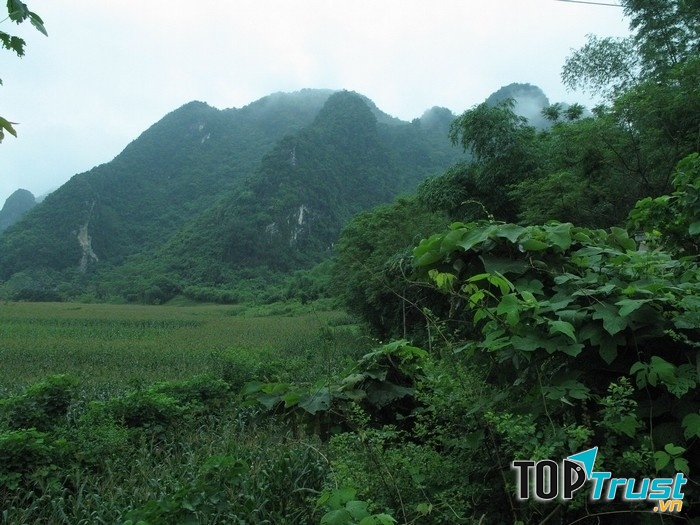 Vườn quốc gia Pù Mát (Nghệ An)