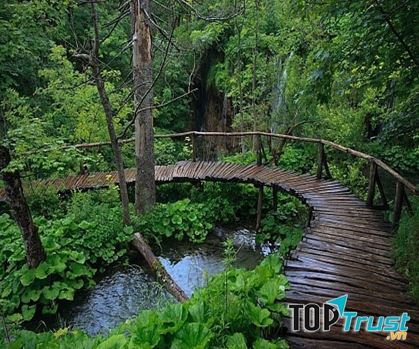 Vườn quốc gia Phú Quốc (Kiên Giang)