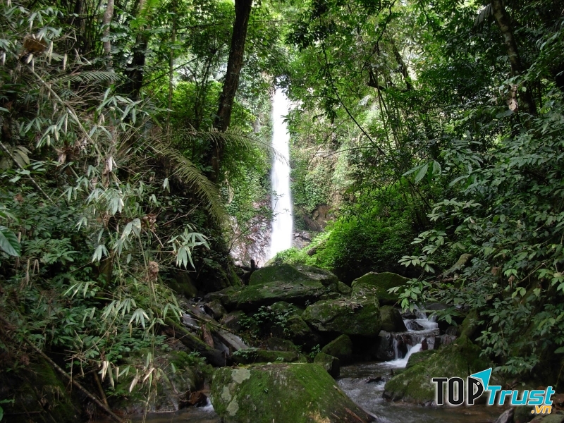 Một con suối ở vườn quốc gia Pù Mát, tỉnh Nghệ An