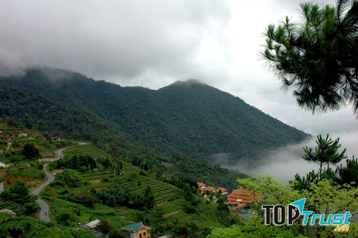 Vườn quốc gia Tam Đảo (Vĩnh Phúc)