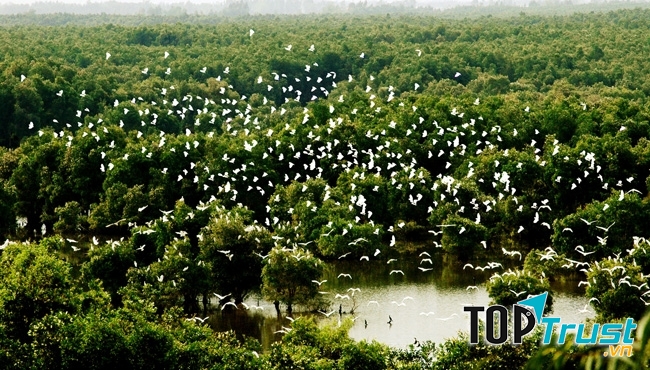 Vườn quốc gia Tràm Chim