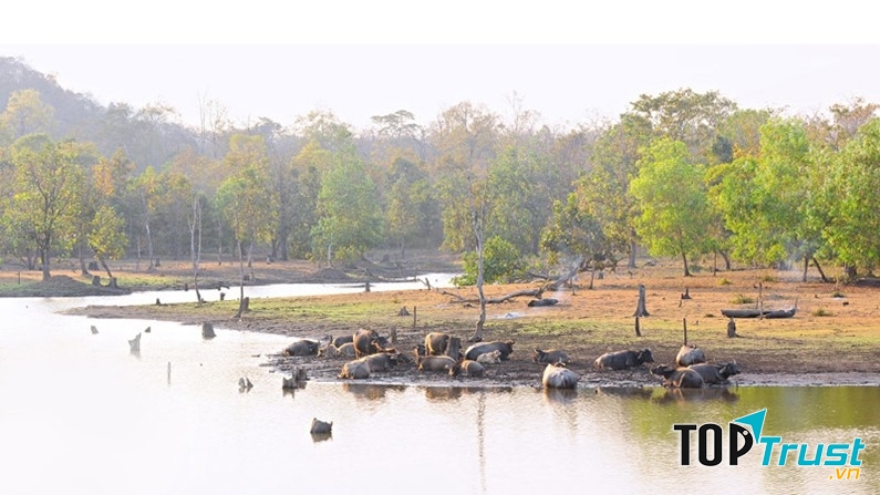 Vườn quốc gia Yok Đôn