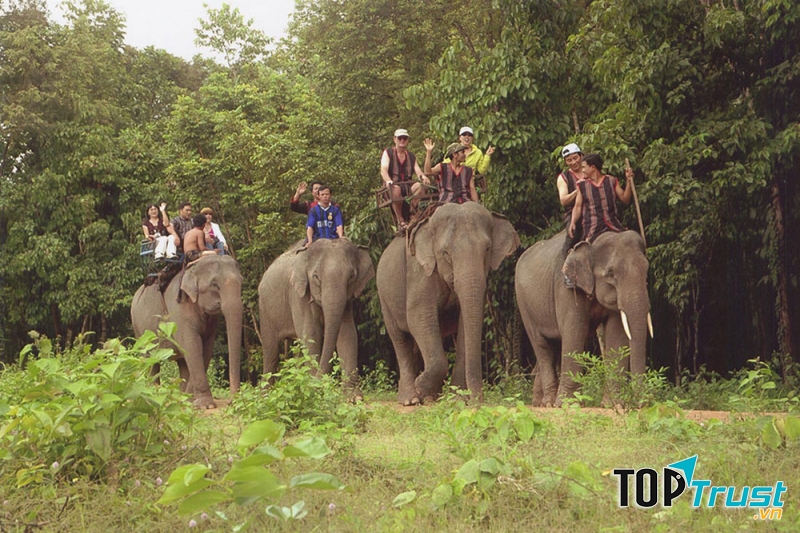 Vườn quốc gia Yok đôn – khu rừng đặc dụng lớn nhất Việt Nam