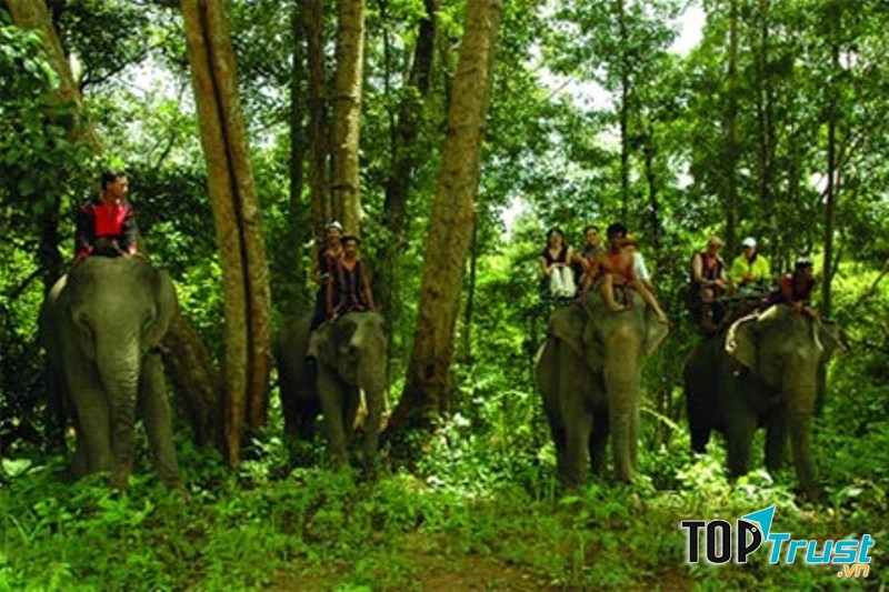 Cưỡi voi thăm thú vườn quốc gia Yok Đôn