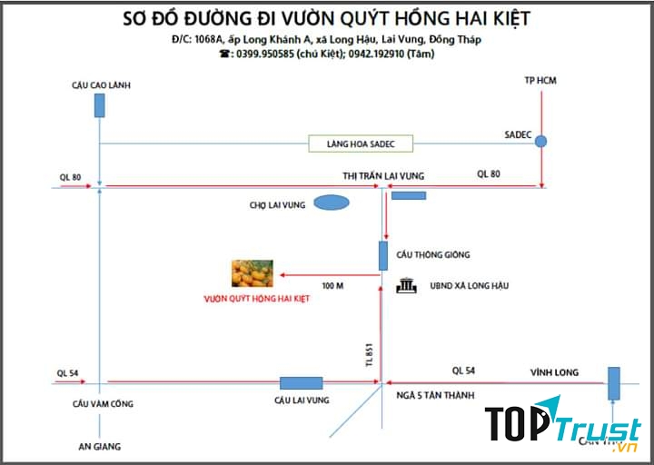 Vườn quýt hồng Hai Kiệt