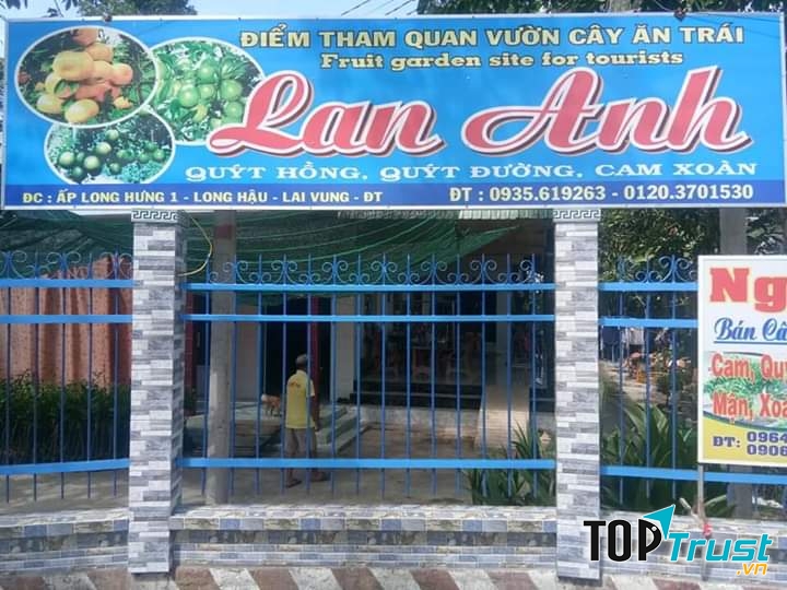 Vườn quýt hồng Lan Anh