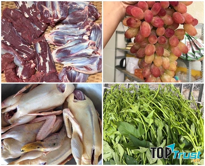 Vườn Rau Sạch - Chuyên Thực Phẩm Sạch & Hữu Cơ