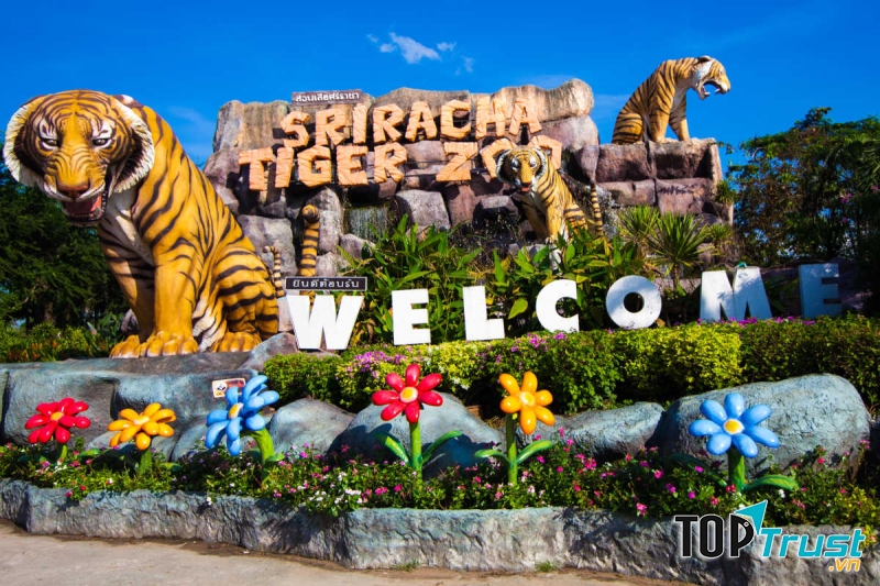 Vườn thú Safari World (Tiger Zoo)