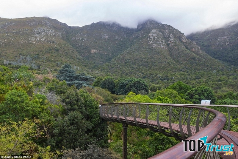 Vườn thực vật quốc gia Kirstenbosch