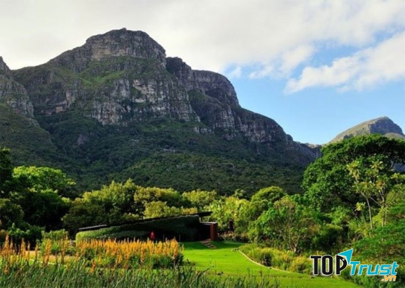Vườn thực vật quốc gia Kirstenbosch