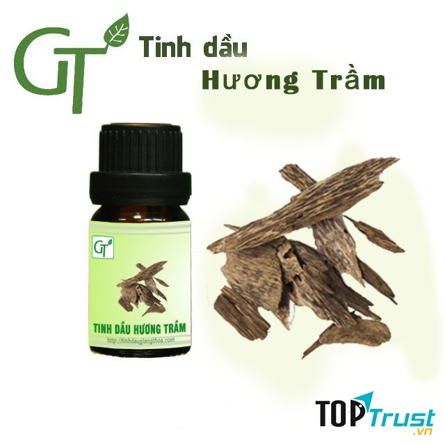 Tinh dầu và Thảo Mộc GT