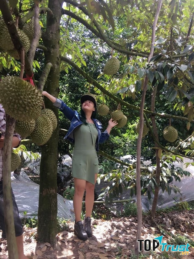 Đây đúng là thiên đường cho bạn nào thích sầu riêng