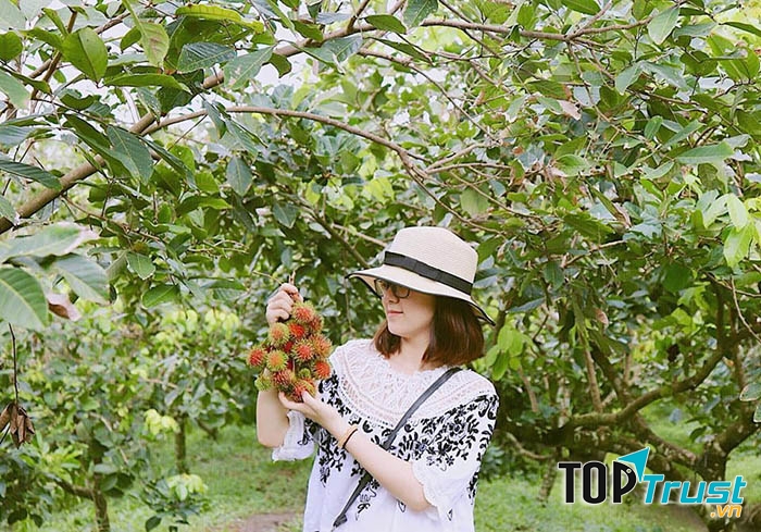 Vườn trái cây Cái Mơn