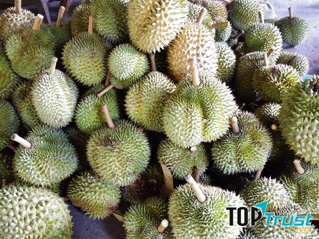 Vườn trái cây Gò Chùa