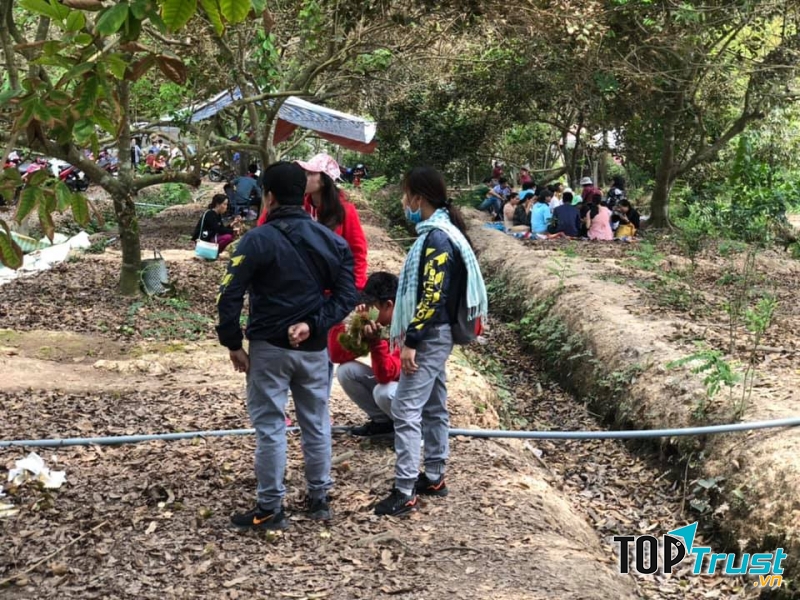 Vườn trái cây Hương Huê