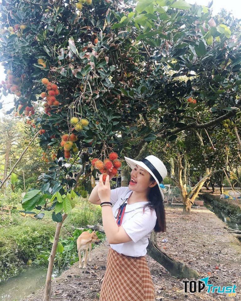 Check in ngay tại vườn