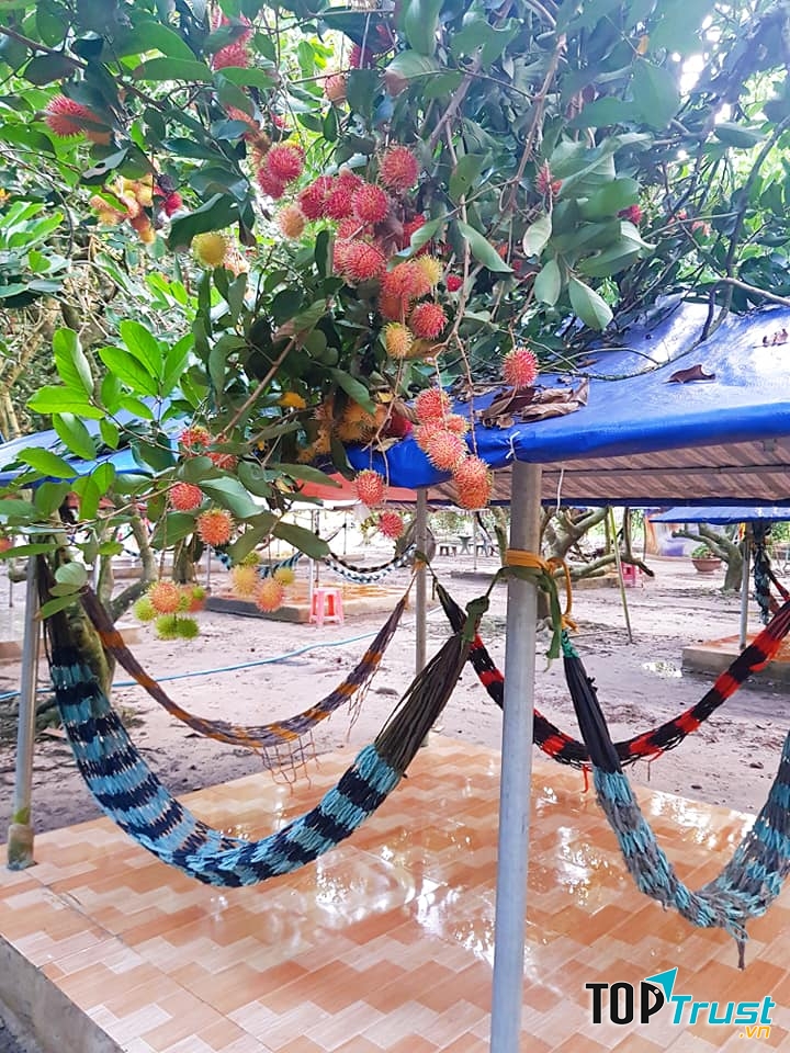 Vườn trái cây Út Phương