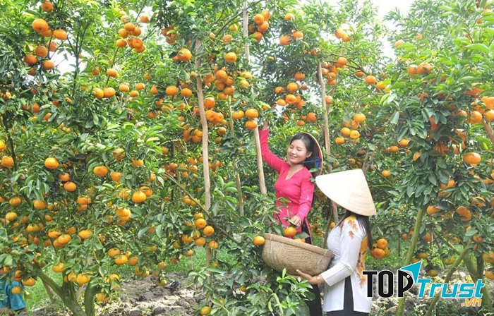 Vườn trái cây Vĩnh Kim