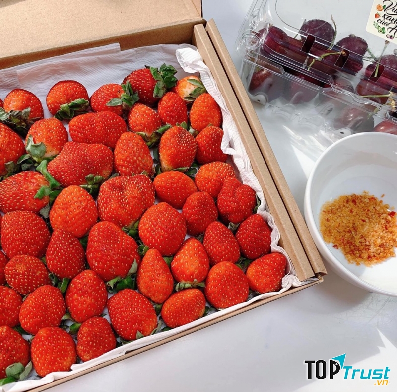 Vườn xanh của Hạ