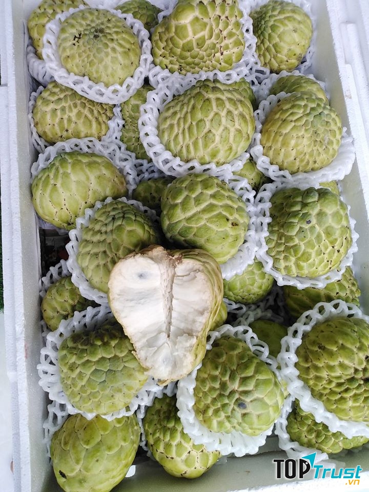 Vườn Xanh Fruit