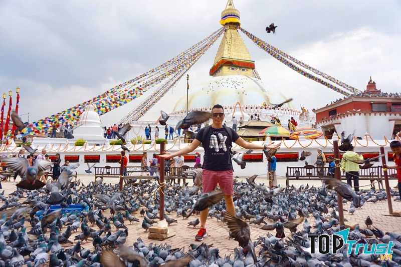 Vương quốc của các loài chim