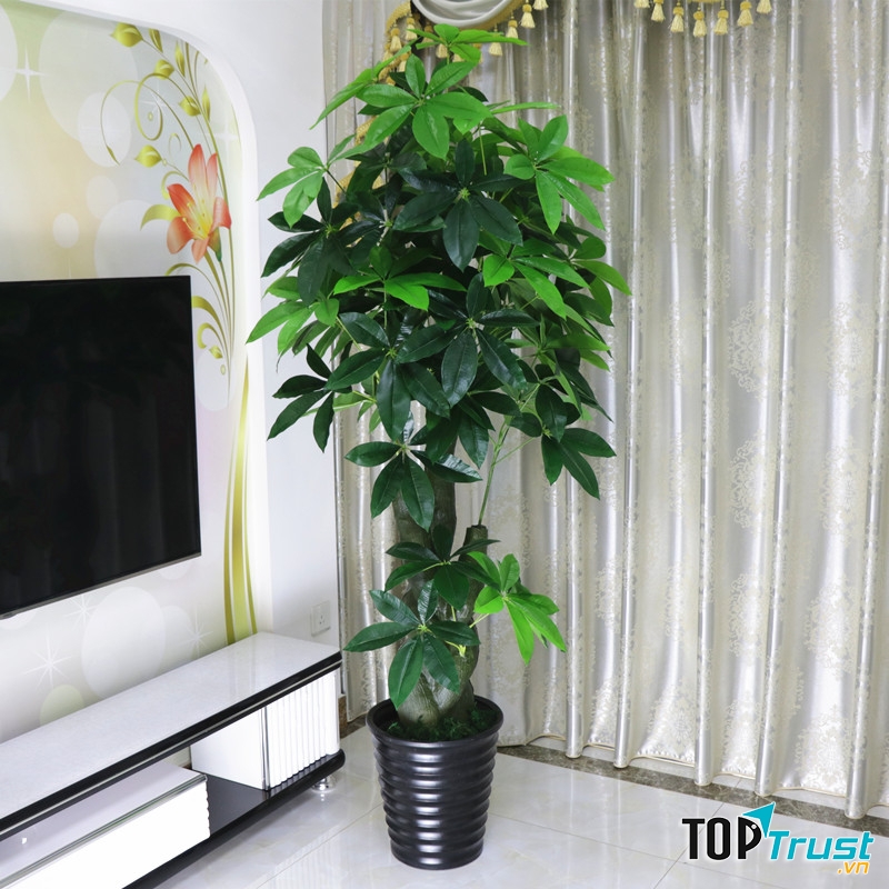 Vương quốc nội thất chuyên cung cấp những phụ kiện trang trí nhà đẹp với đầy đủ các mẫu cây giả trang trí, cây cảnh giả nhập khẩu