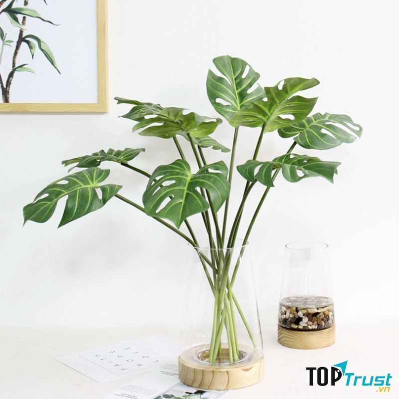 Các sản phẩm được lựa chọn kỹ lưỡng có giá trị thẩm mỹ cao