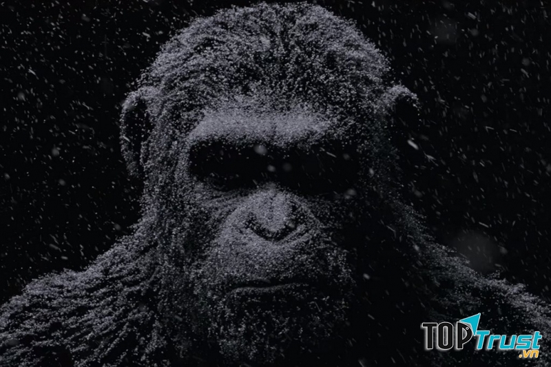 Phần tiếp theo của loạt phim Apes sẽ ra rạp trong năm nay