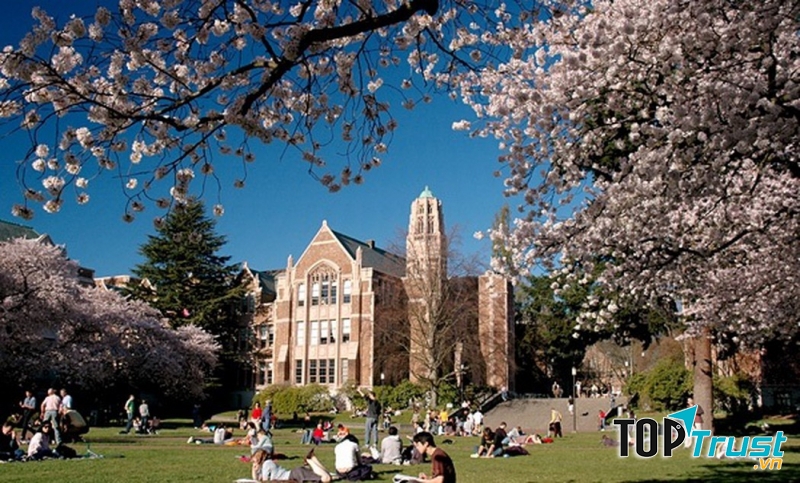 Không khí học tập ở Đại học Washington