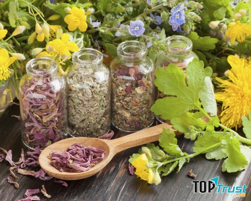 Chuyên mục bài thuốc dân gian trên trang 24h