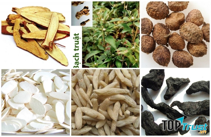 Bài thuốc quý