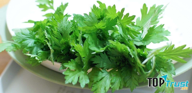 Những bài thuốc dân gian kì diệu