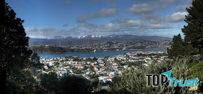Thành phố Wellington, New Zealand nhìn từ một ngọn đồi