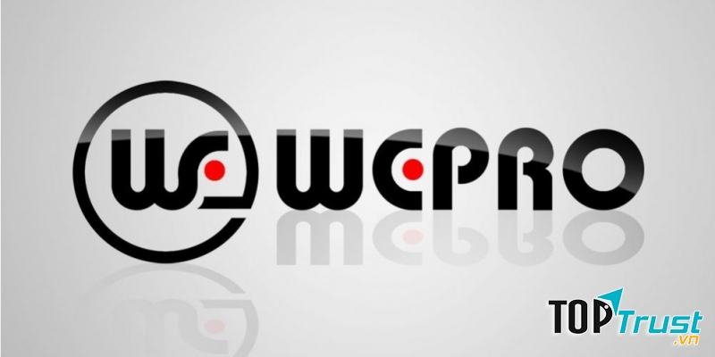 Wepro Entertainment Group là một trong những công ty giả trí nổi tiếng ở Việt Nam