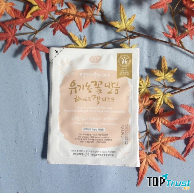 WHAMISA ORGANIC FLOWERS & ALOE VERA FERNENLED HYDROGEL FACIAL MASK (Ảnh: Hồng Hải)