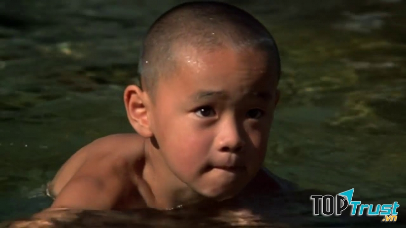 Why Has Bodhi – Dharma Come From The East?