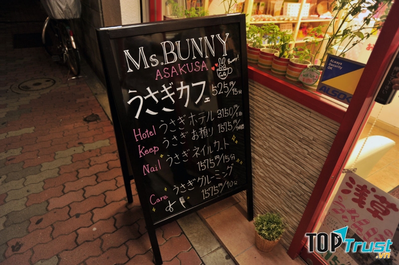 With Bunny, Asakusa