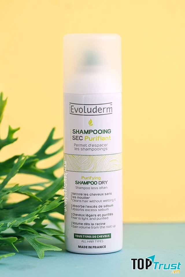 Dầu gội khô Evoluderm Purifying Shampoo Dry