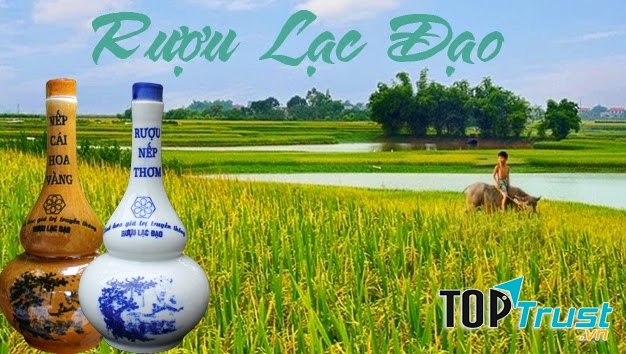 Đặc sản rượu nếp quê Hưng Yên